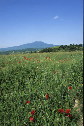 L'Amiata vista dalla Val D'Orcia